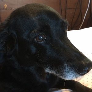 Meet your Posher, Derek